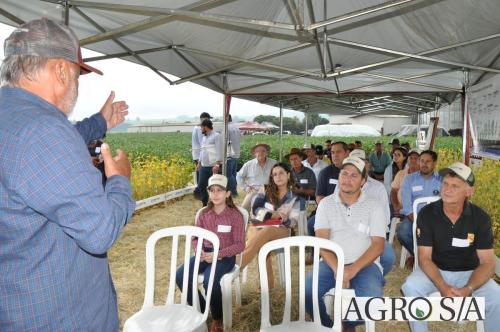 dedeagro-2024-270