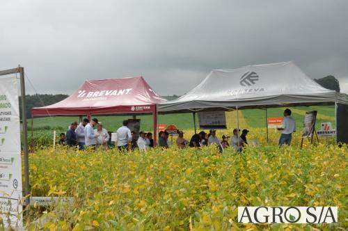dedeagro-2024-279