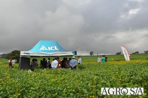 dedeagro-2024-281