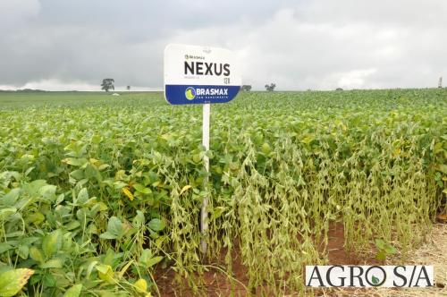 dedeagro-2024-285