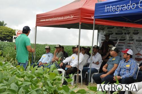 dedeagro-2024-291