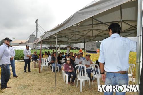 dedeagro-2024-293