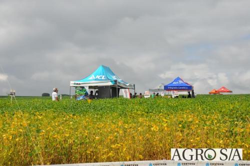dedeagro-2024-297