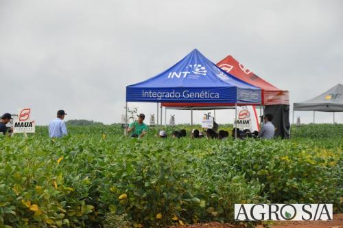dedeagro-2024-300