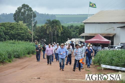 dedeagro-2024-303