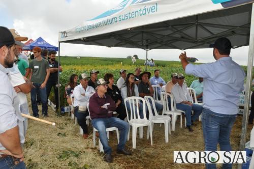 dedeagro-2024-308