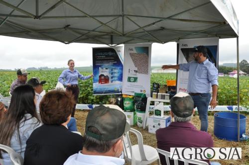 dedeagro-2024-309