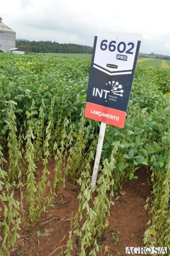dedeagro-2024-312