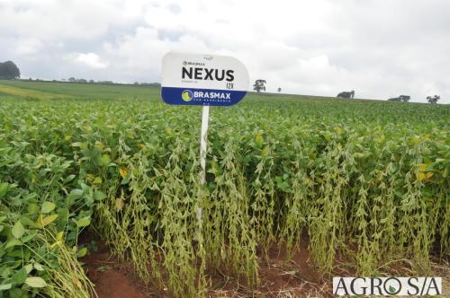 dedeagro-2024-313