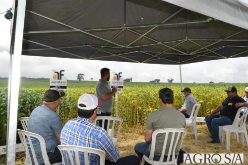 dedeagro-2024-315
