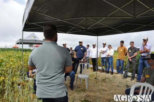 dedeagro-2024-317