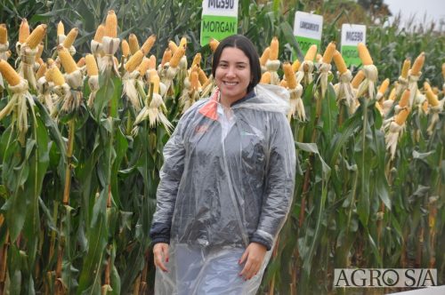 DEDEAGRO-E-MORGAN-115