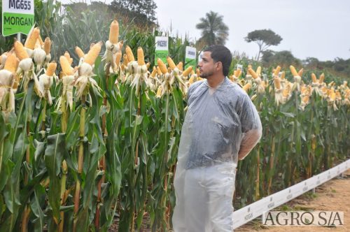 DEDEAGRO-E-MORGAN-117