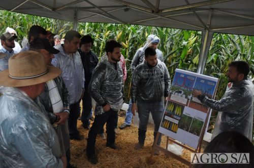 DEDEAGRO-E-MORGAN-118
