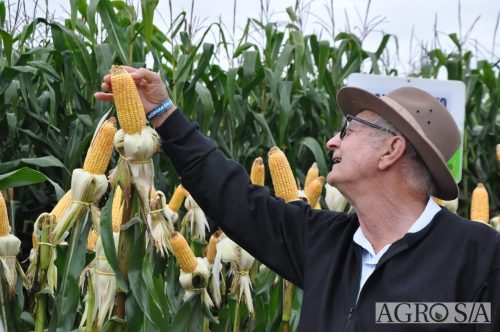 DEDEAGRO-E-MORGAN-131