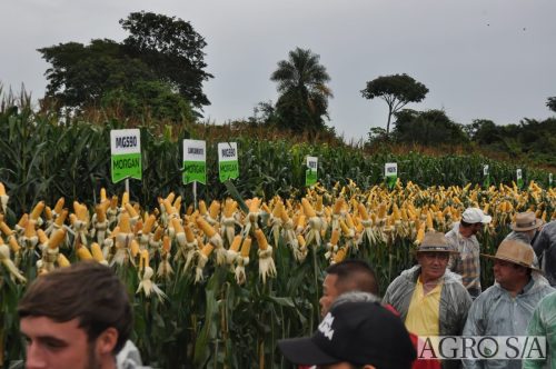 DEDEAGRO-E-MORGAN-132