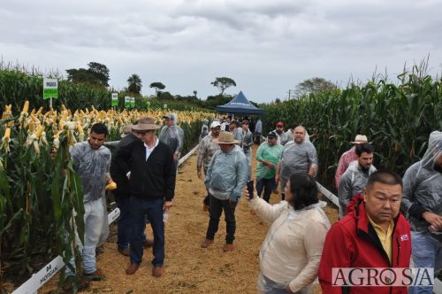 DEDEAGRO-E-MORGAN-134