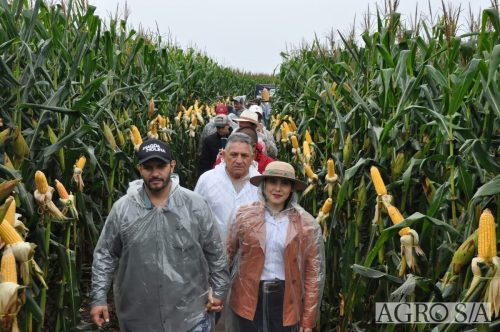DEDEAGRO-E-MORGAN-137