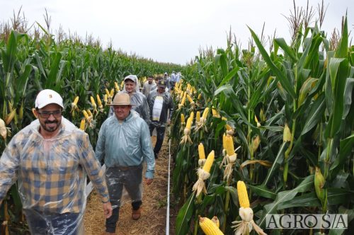 DEDEAGRO-E-MORGAN-143