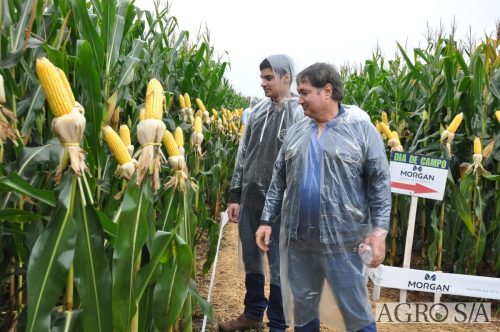 DEDEAGRO-E-MORGAN-145