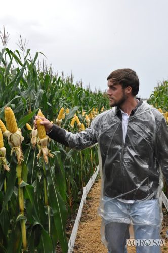 DEDEAGRO-E-MORGAN-152
