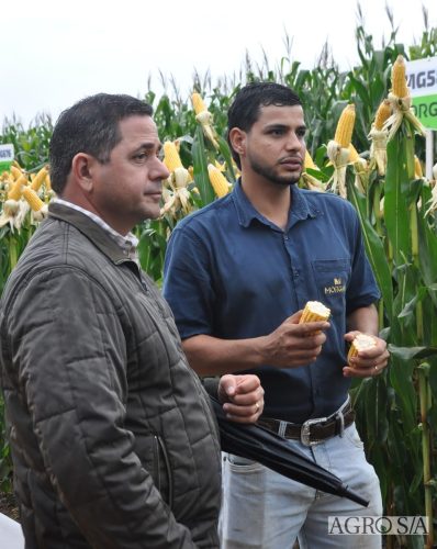 DEDEAGRO-E-MORGAN-165