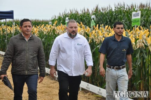 DEDEAGRO-E-MORGAN-173