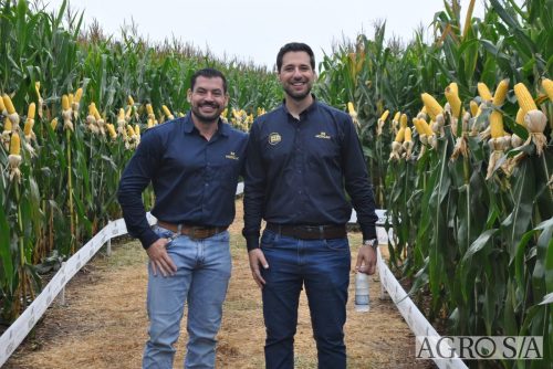 DEDEAGRO-E-MORGAN-175