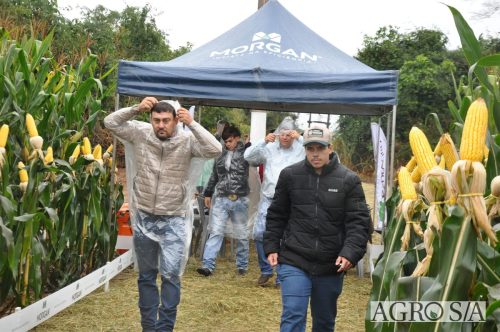 DEDEAGRO-E-MORGAN-64