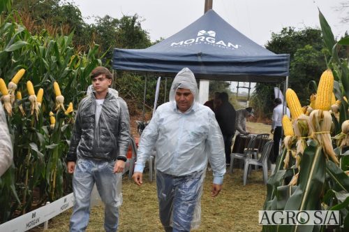 DEDEAGRO-E-MORGAN-65