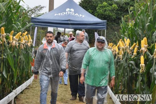 DEDEAGRO-E-MORGAN-67