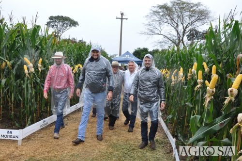 DEDEAGRO-E-MORGAN-71