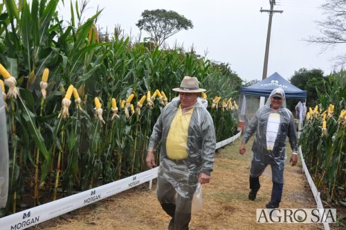 DEDEAGRO-E-MORGAN-74