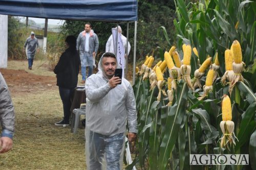 DEDEAGRO-E-MORGAN-75