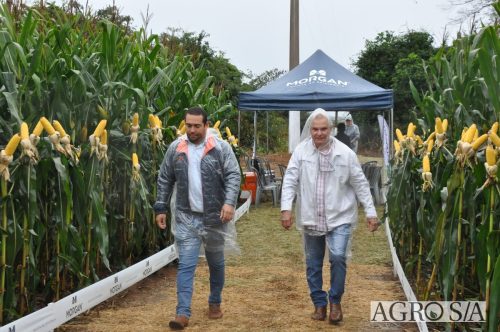 DEDEAGRO-E-MORGAN-78