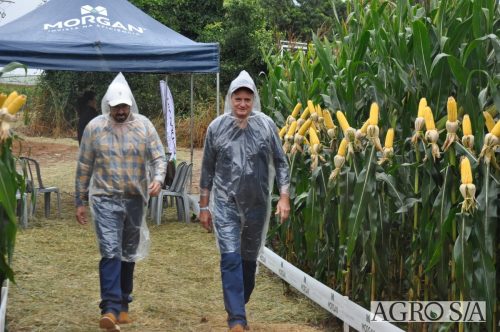 DEDEAGRO-E-MORGAN-79