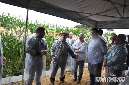 DEDEAGRO-E-MORGAN-80