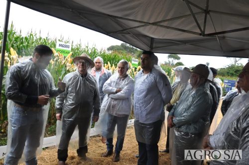 DEDEAGRO-E-MORGAN-82