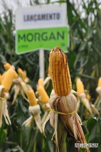DEDEAGRO-E-MORGAN-87