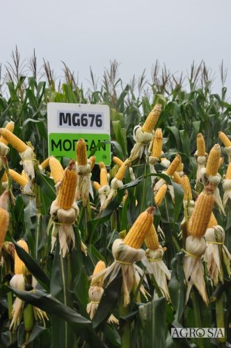 DEDEAGRO-E-MORGAN-89