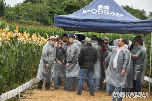 DEDEAGRO-E-MORGAN-90
