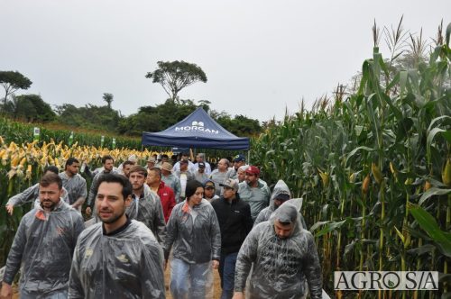DEDEAGRO-E-MORGAN-95