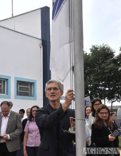 DIRCEU-6