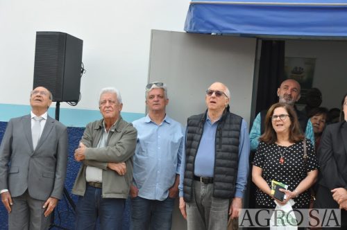 DIRCEU-8