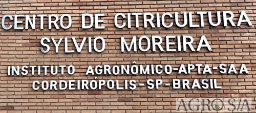 dirceu-1