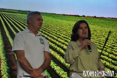 15-DIA-ENCONTRO-289