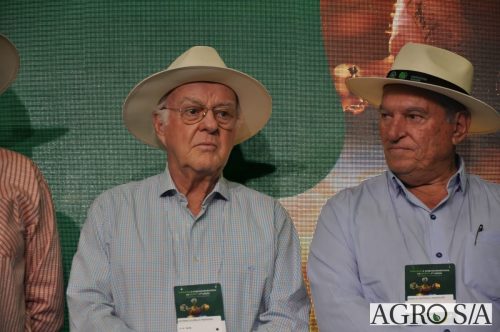 99-DIA-ENCONTRO-213