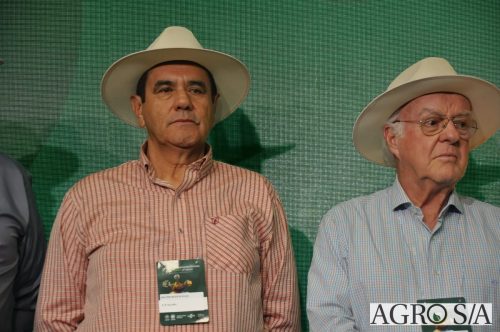 99-DIA-ENCONTRO-214