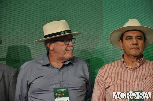 99-DIA-ENCONTRO-215