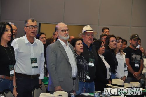 99-DIA-ENCONTRO-335